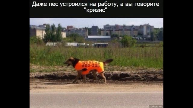 Боги маркетинга.  Юмор про Россию. Умом Россию не понять.  #умомроссиюнепонять #богимаркетинга