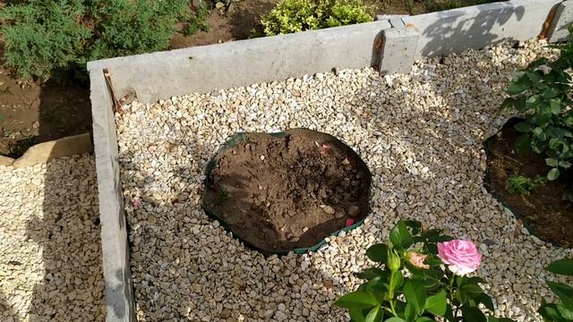 Переделка входной зоны. Часть 3. Красота злаков. Что сделано, что предстоит сделать. смотреть онлайн