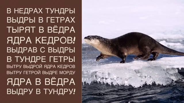 7 сложных скороговорок для детей, которые сломают язык даже взрослому