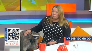 Зооблогер Елена Чистова: содержим 20 енотов, по 40 собак и котов, одного коня и носуху 27.01.2023