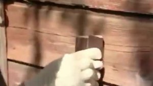 Покраска деревянных дверей