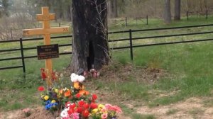 На могиле Петра Мамонова. г.Верея