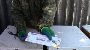 Устанавливаю полоски от клеща Варроа.Installing strips from the Varroa mite