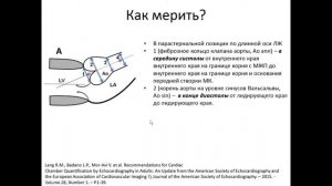 Основы ЭхоКГ  исследование аортального клапана
