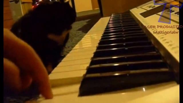 Животные играют на музыкальных инструментах смотреть онлайн