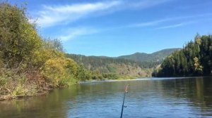 Сплав по мане/ осень 2021