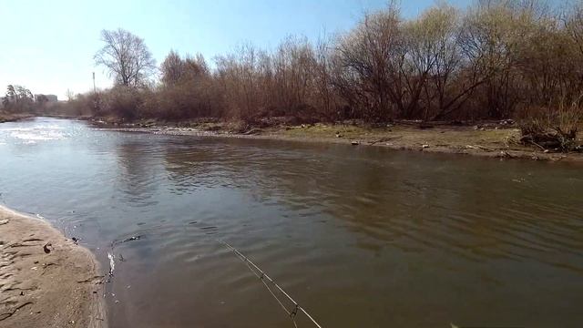МОРМЫШИНГ и СТРИТФИШИНГ с DAYO. Тестирую искусственный мотыль ULTRALIGHTCLUB.