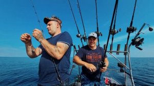 Лосось на 3 киллограма! - Выпрыгнул свечкой из подсачника | Рыбалка в Карелии |