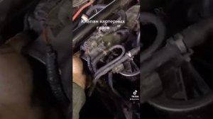 Автосервис Jdmmsc проверка клапана картерных газов honda