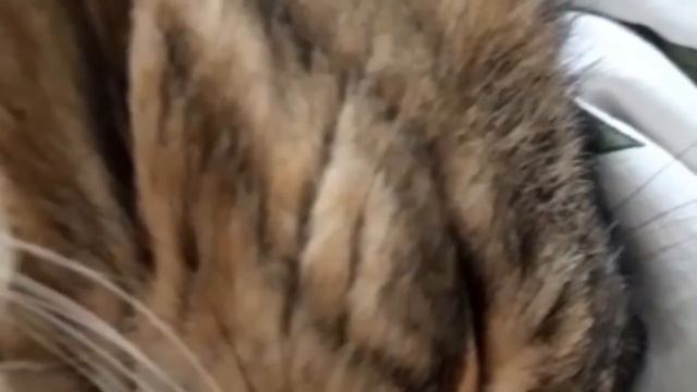 Половая жизнь...ахаха!