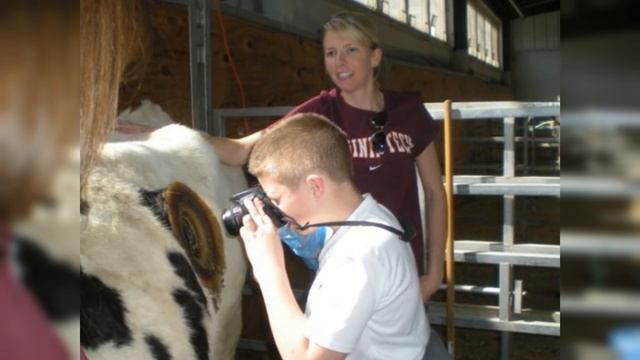 Коровы с дыркой в боку, зачем ? смотреть онлайн