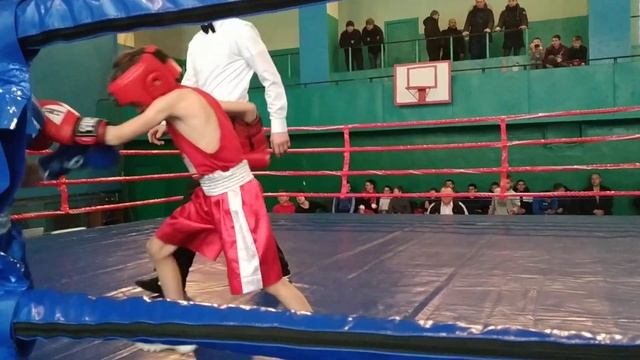 Шарамков Илья ( бокс 7 лет ) смотреть онлайн