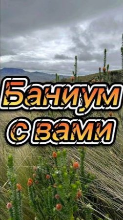 Баниум с вами!