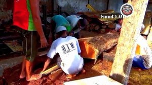 Amazing... The most dangerous big jackfruit wood sawing skills at the sawmill