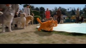 Garfield (2004) - Garfield riles the dogs