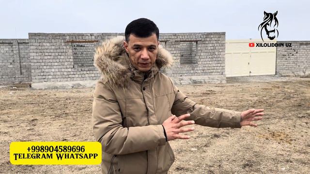 JIZZAX ZOMIN JALAYER BERDIBEK XOJI BOBO JO'RAYEVNING KO'PKARI ZOTLARI 24.2.2024@Xiloliddin_Uz