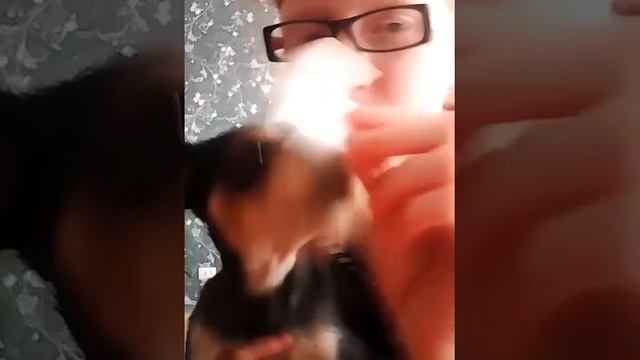 Гимнастик Челлендж три задания только я хочешь с юной смотреть онлайн