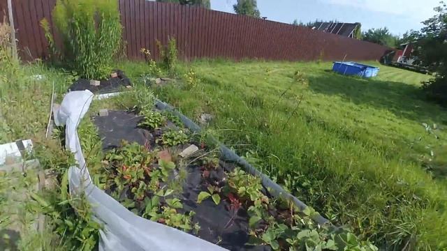 Дорожки на газоне смотреть онлайн