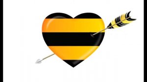 Как я устраивался на работу в Билайн