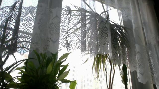 Видео с веб-камеры. Дата: 22 марта 2013 г., 17:59. смотреть онлайн