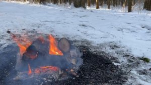 Согревающий костер в лесу.