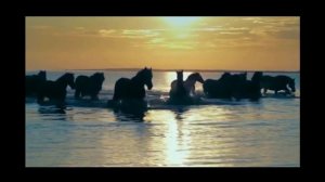 ходят в кони