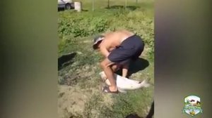 Рекорд июля 2018 - толстолоб 14 кг!