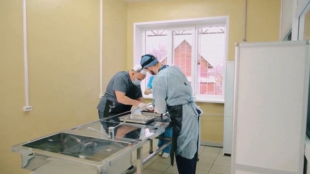 Центр ветеринарной токсикологии и судебно-ветеринарной экспертизы