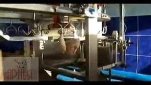 Линия разделки птицы Арнея монтаж