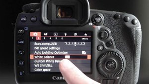 Canon 5D Mark IV White Balance
