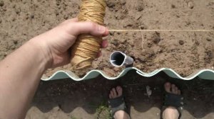 Подвязка для ГОРОХА моя метода!✅