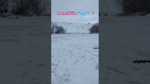 РЫБАЛКА на МОРМЫШКУ 🐟🎣🐟🌊🐟🎣🐟🌊🐟🎣🐟🎣🐟🌊🏞️📽️🌲🌲🌲❄️☃️