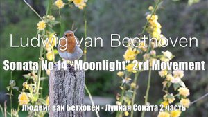 Людвиг ван Бетховен – вторая часть из Сонаты для фортепиано № 14 до-диез минор, соч. 27 № 2