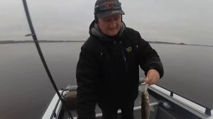 Рыбалка на Угличе. Kick Jig 76MH от Narval