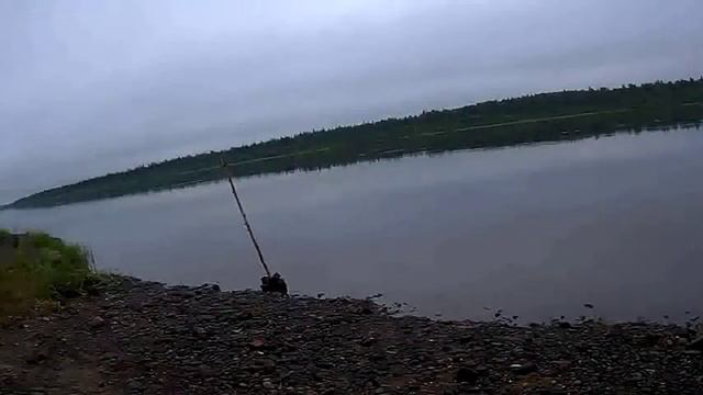 Рыбалка на фидер смотреть онлайн