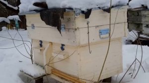 Улей лежак своими руками из половой доски. Вступление
