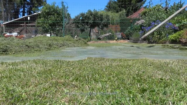 Comment faire son foin avec la tonte de Gazon? Litières, pondoirs... смотреть онлайн