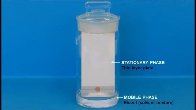 Thin layer