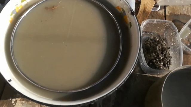 Нашёл окаменелости в глине!