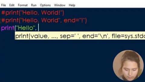 Урок 1. Функция print и переменные|||Видеоуроки Python