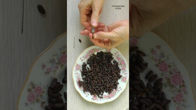 Семена для поделок. Необычный материал для рукоделия и творчества