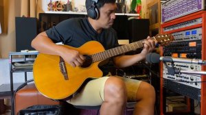 Takamine NPT-110BN  classic