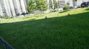 Санкт-Петербург Парнас Обходим вокруг  Часть первая