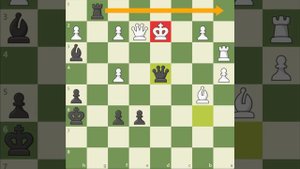 Готовимся как чемпионы мира - Крамник - Ананд