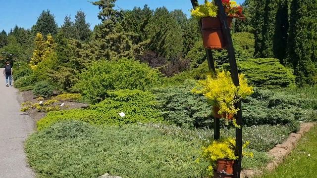 Саласпилс. Ботанический сад. Латвия смотреть онлайн