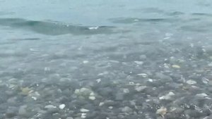 28.05.2023. Погода в Сочи в мае.Смотри на Чёрное море каждый день.