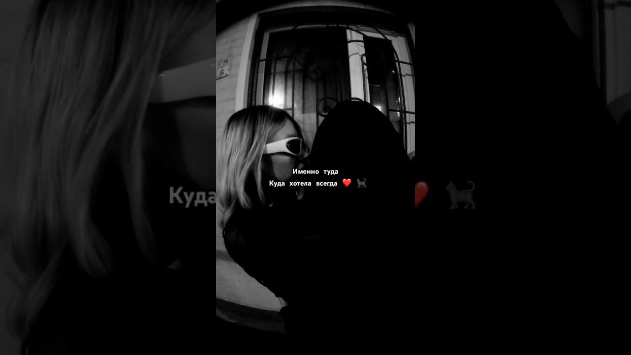 Чёрная кошка ⬛ смотреть онлайн