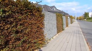 Габионы и виды габионов,забор из камней/Gabions and types of gabions