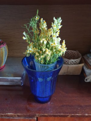 Цветы местные