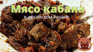 Мясо кабана тушеное с помидорами и болгарским перцем в афганском казане. Очень вкусное блюдо!